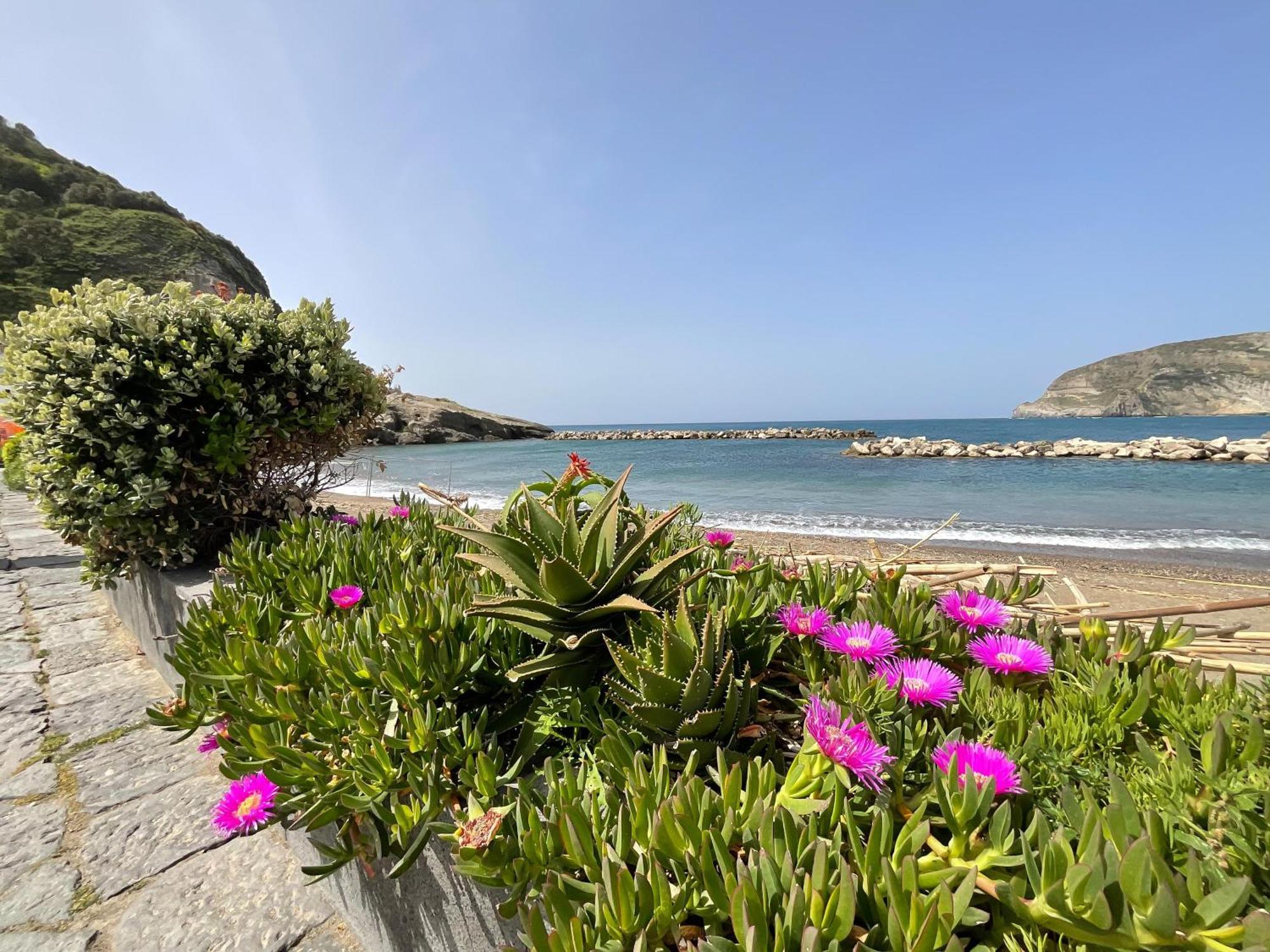 Casa Francesco Seaside Apartment Sant'Angelo  Exterior photo